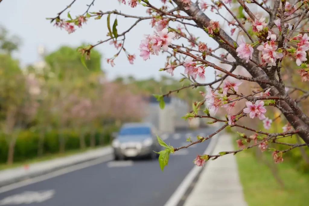 Spring-Road-Hazards-Around-Edmonton-How-to-Navigate-Rain-and-Potholes-Safely.